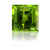 4.42ct Square Peridot